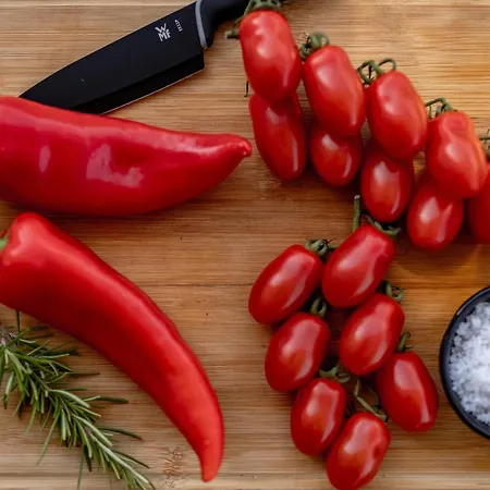 Manatis Mit Pool 빌라 비르브닉